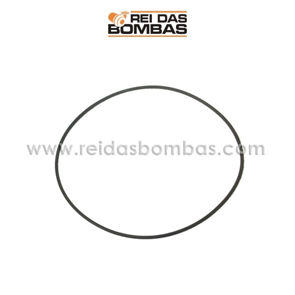 ANEL O'RING DANCOR 2-161 MS-4