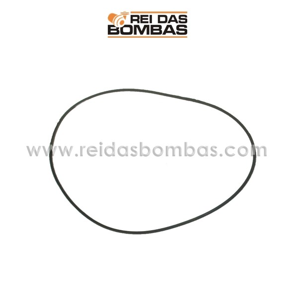 ANEL O'RING DANCOR 2-169 430/630/MS-9/17