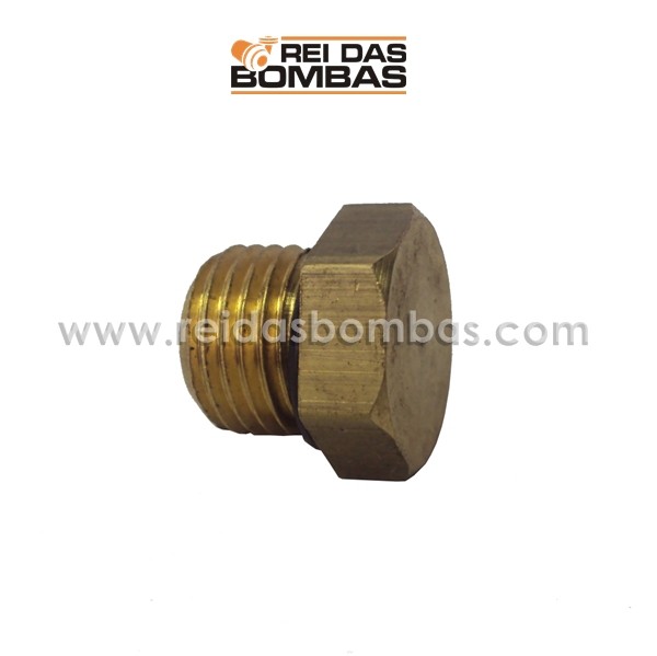 BUJAO ESCORVA SCHNEIDER 1/4''