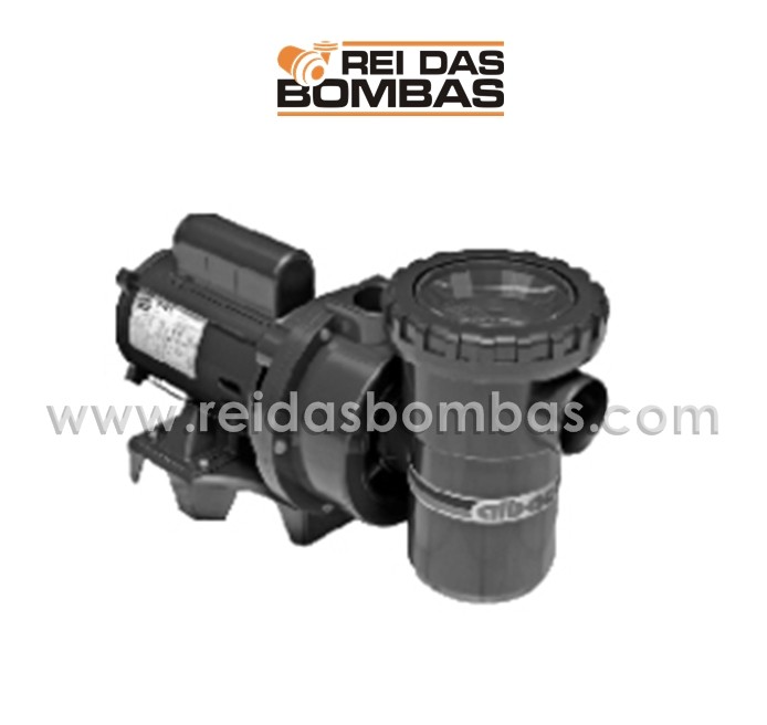 Bomba Albacete com pré filtro para piscinas série APP 1.1/2'' x 1.1/2''
