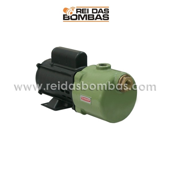 Bomba Schneider autoaspirante ASP 3/4'' x 3/4''