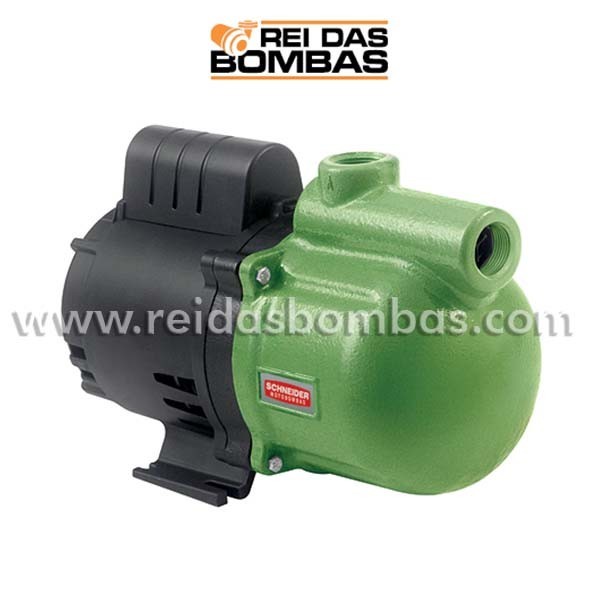 Bomba Schneider ASP-98 Autoaspirante