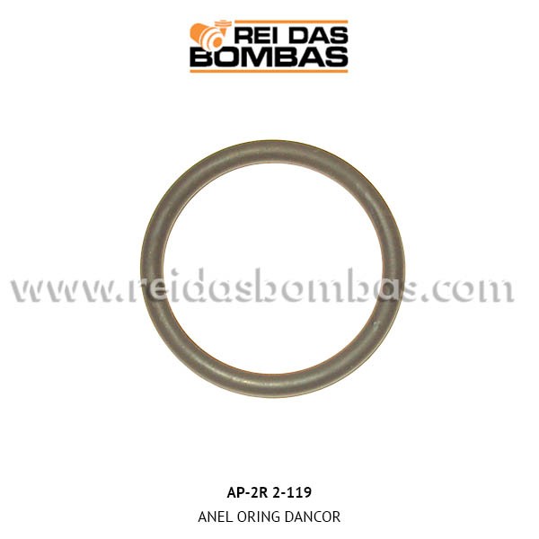 Anel Oring Dancor AP-2R 2-119
