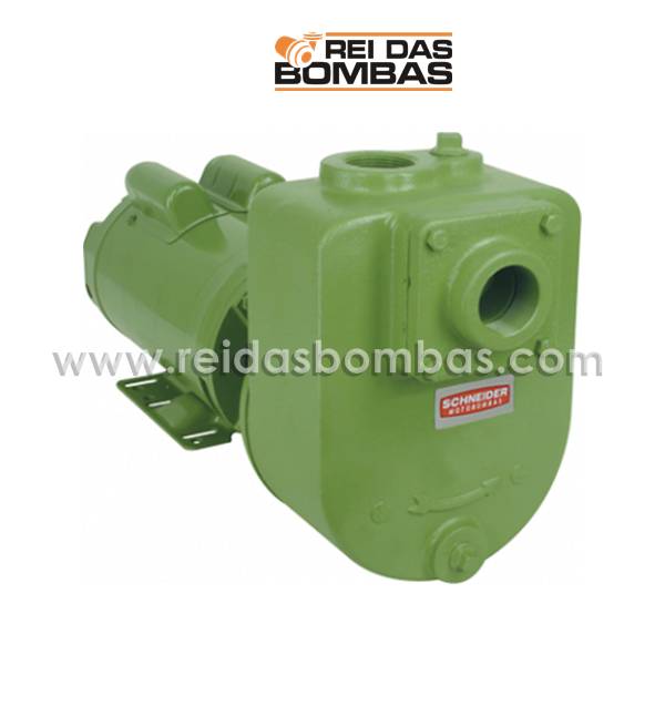 Bombas Schneider autoescorvante BCA 2'' x 2''