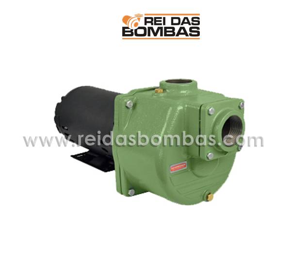 Bomba Schneider autoescorvante BCA-40 2'' x 2''