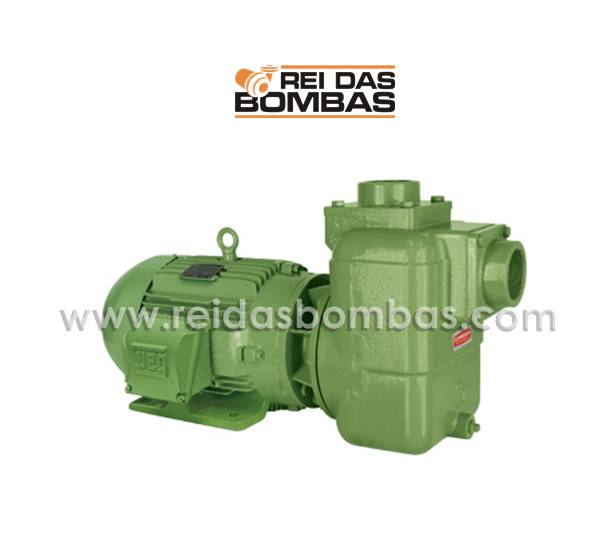 Bomba Schneider autoescorvante BCA-41 2.1/2'' x 2.1/2''