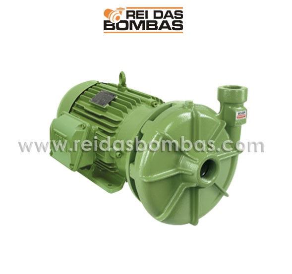 Bomba Schneider centrífuga BC-22 1B 1.1/4'' X 1''