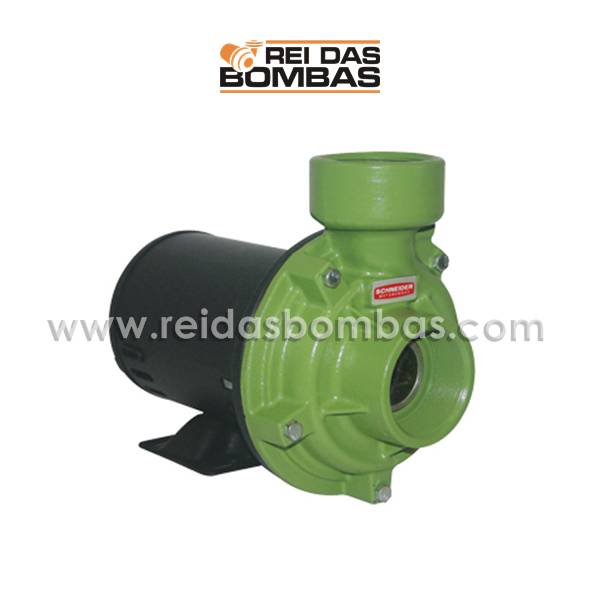 Bomba Schneider centrífuga BC-92S R 2.1/2'' X 2.1/2''