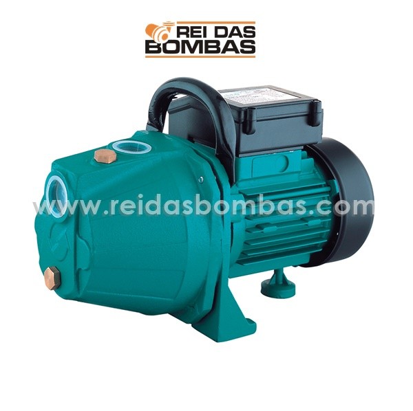 Bomba Lepono auto aspirante modelo XKJ