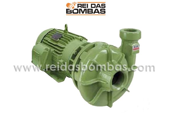 Bomba Schneider centrífuga BC-21 2.1/2'' x 2''